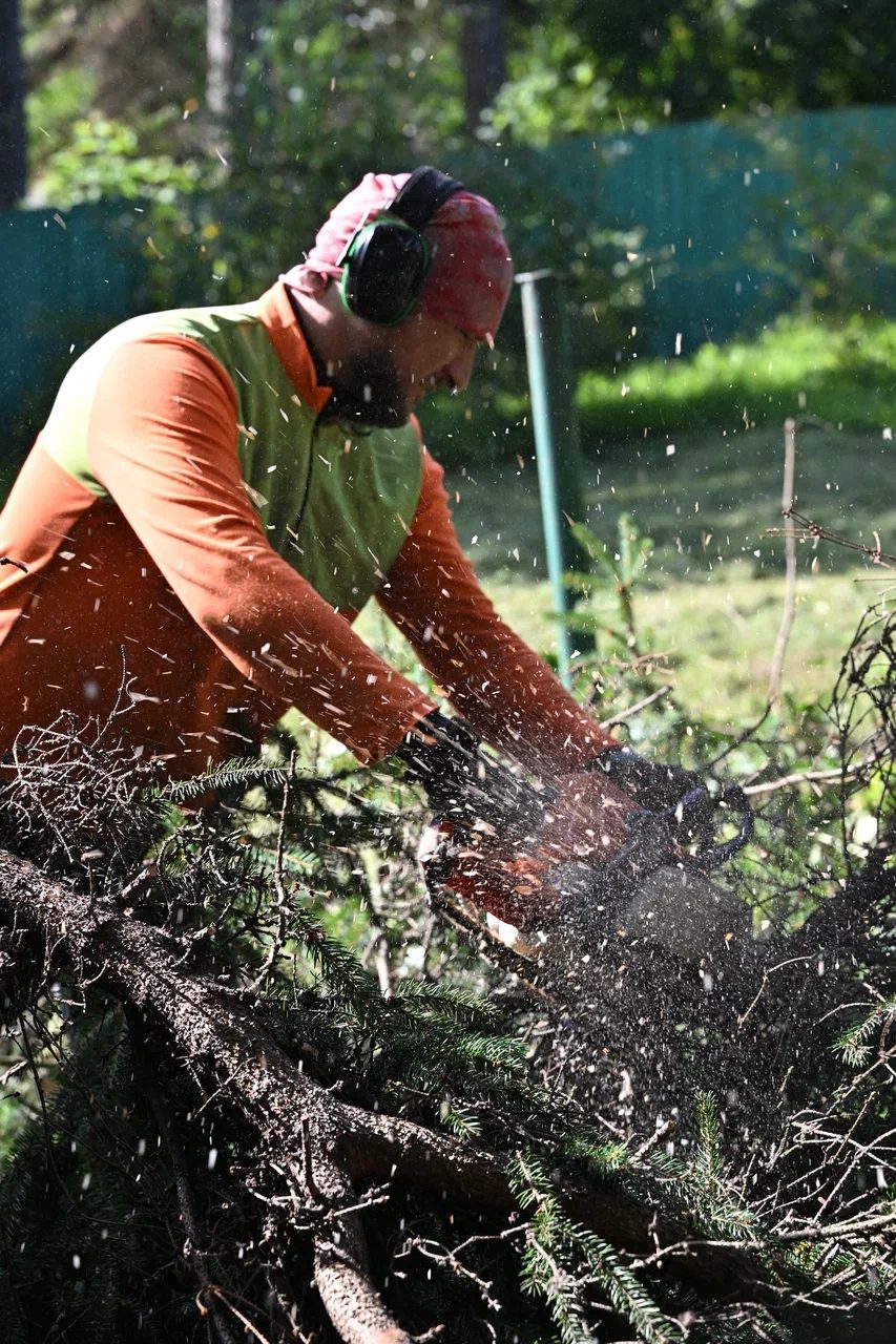 Распил крупных ветвей